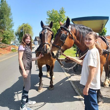 Glamping-Paradies Am Dengler Hof Hohenberg an der Eger المظهر الخارجي الصورة