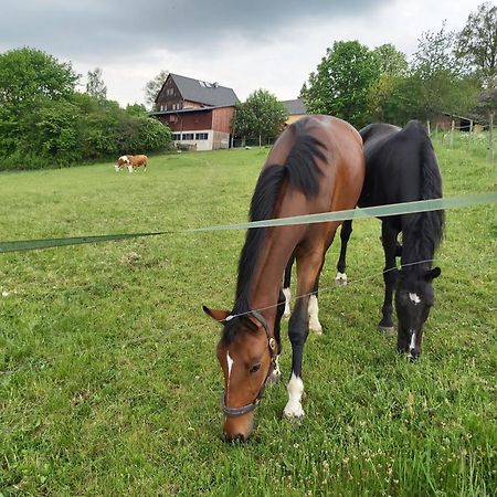 Glamping-Paradies Am Dengler Hof Hohenberg an der Eger المظهر الخارجي الصورة