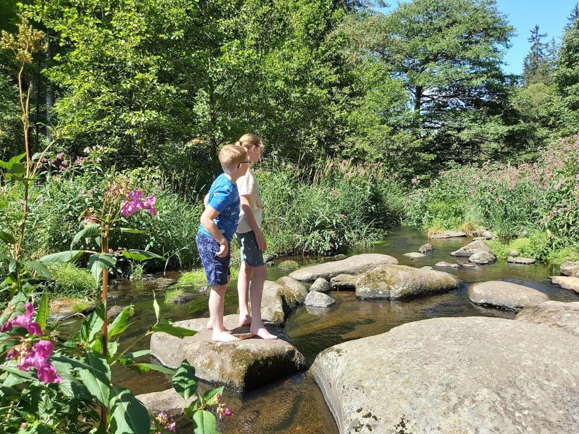 Glamping-Paradies Am Dengler Hof Hohenberg an der Eger المظهر الخارجي الصورة